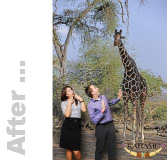 girrafe after